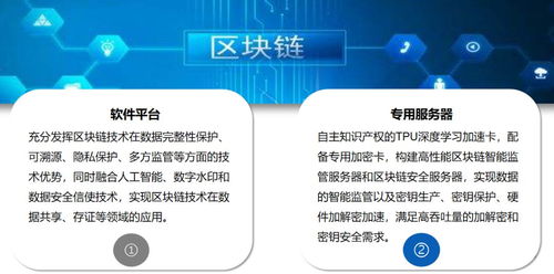 中央一號文件 科技賦能農(nóng)業(yè)，第五代網(wǎng)絡(luò)技術(shù)與人工智能物聯(lián)網(wǎng)引領(lǐng)新時代農(nóng)業(yè)網(wǎng)站建設(shè)